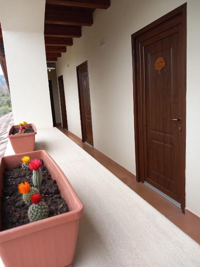 Agriturismo L'Ulivo Padula Eksteriør bilde