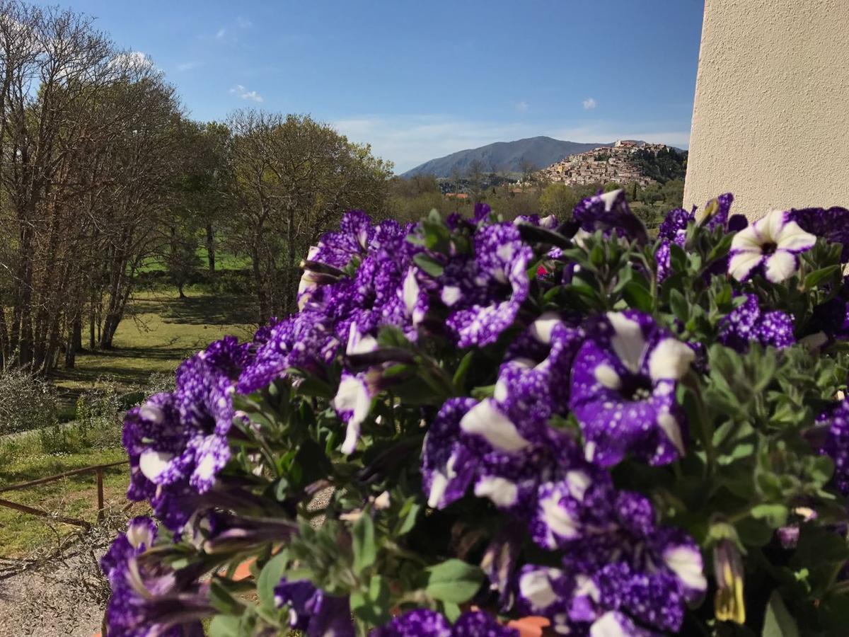 Agriturismo L'Ulivo Padula Eksteriør bilde