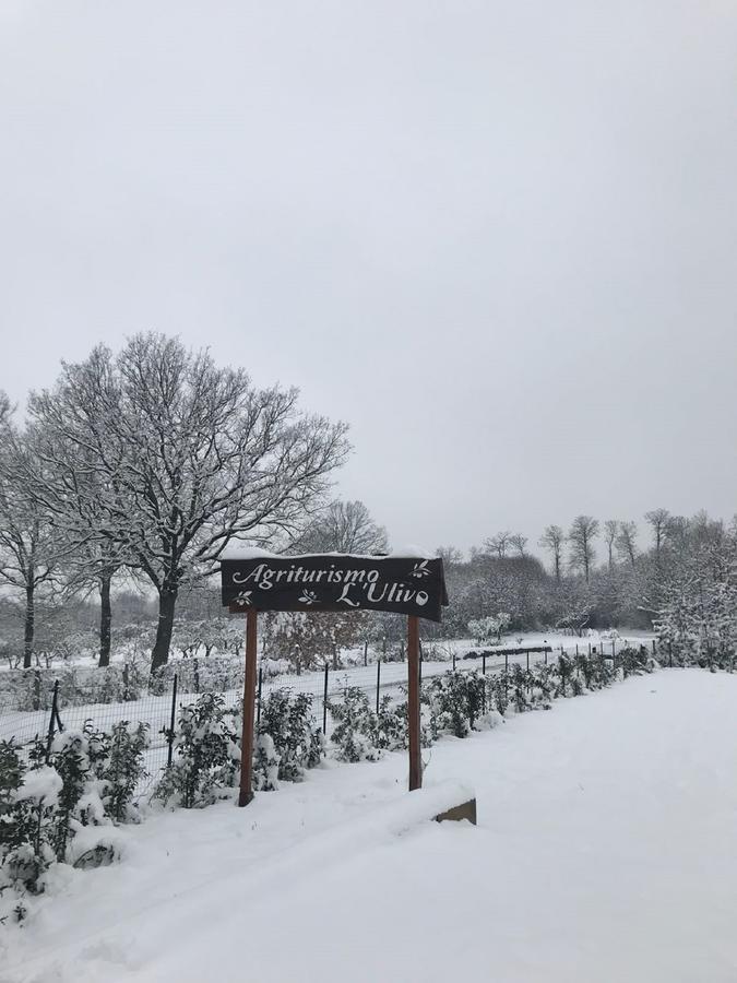 Agriturismo L'Ulivo Padula Eksteriør bilde