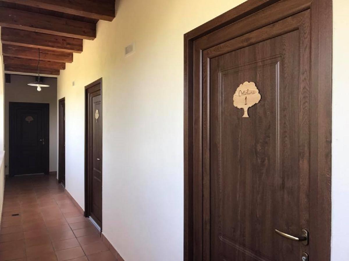 Agriturismo L'Ulivo Padula Eksteriør bilde